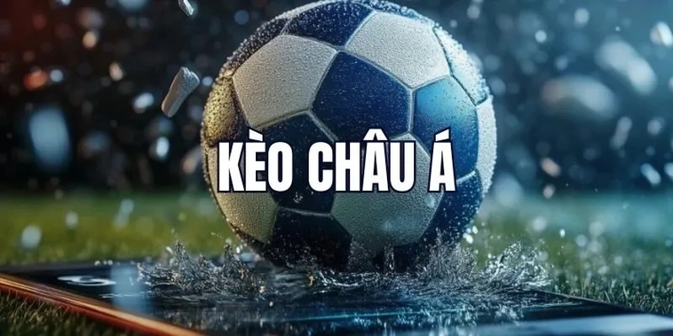 Khuyến Mãi Nhà Cái CMD368: Đánh Giá Toàn Diện